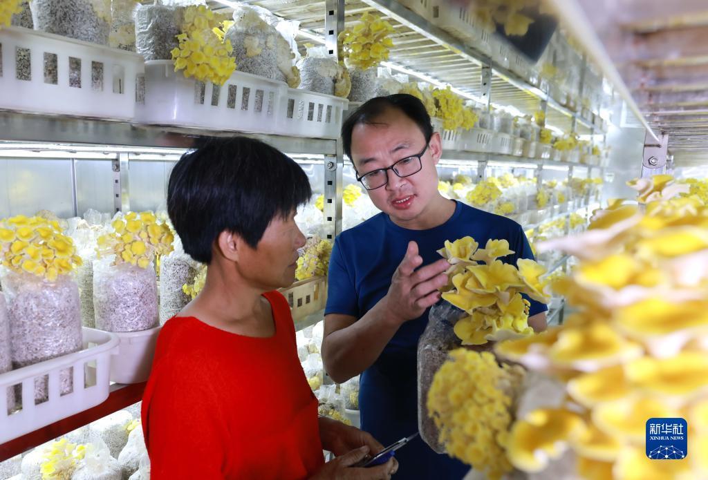 吉祥娱乐平台注册